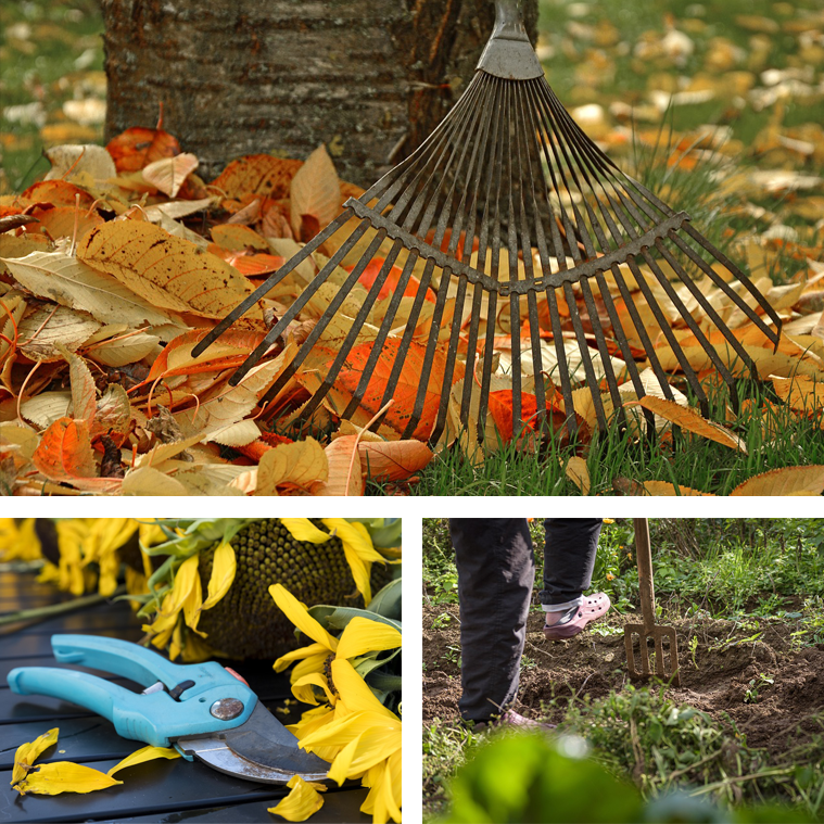 Kleingärtnerverein Leopoldau-Ladestelle Gartenarbeiten im Herbst